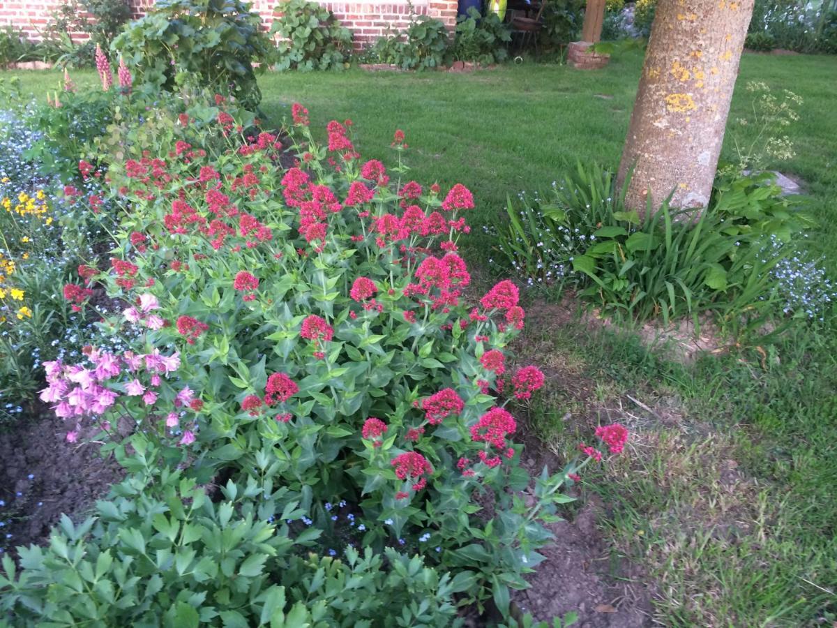 Villa Les Coquelicots Nibas Exterior foto